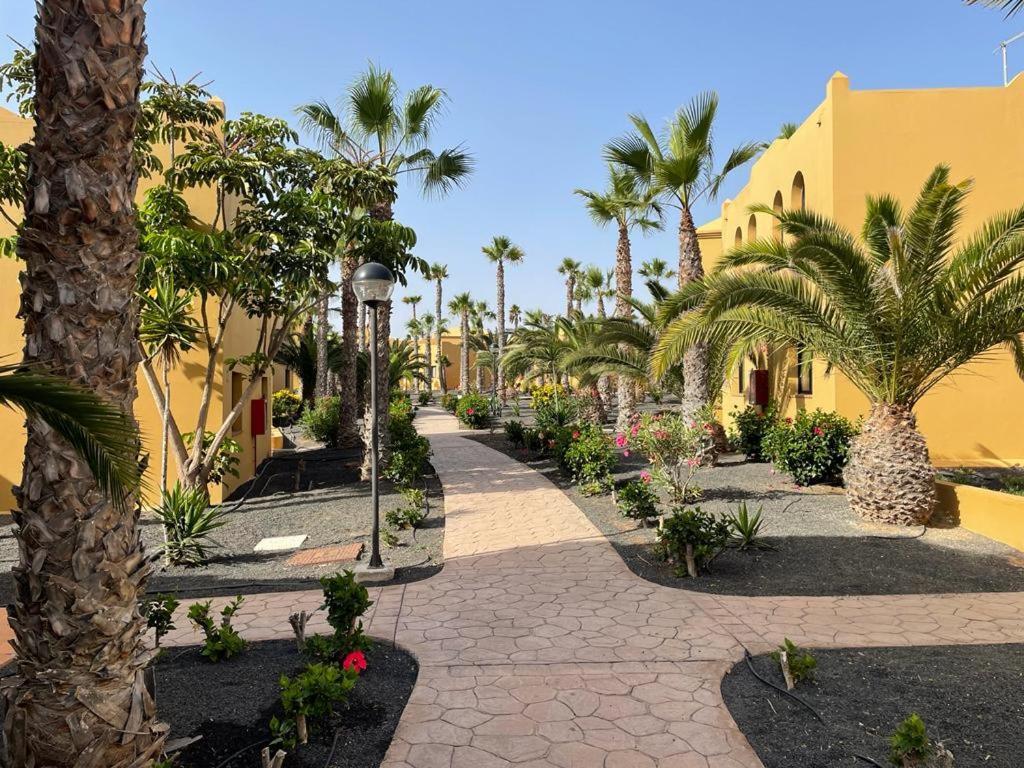فندق Casa Julia - Oasis Papagayo كوراليهو المظهر الخارجي الصورة
